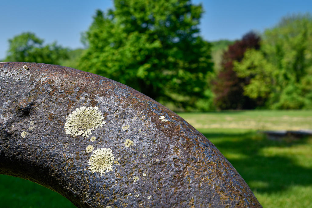 Ringwood Abstract 1 (1 of 1).jpg
