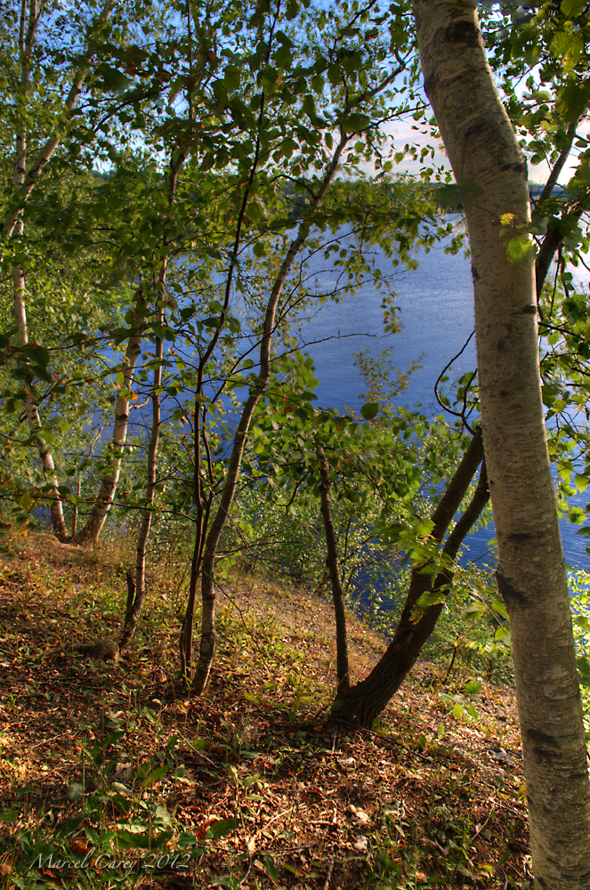 River bank.jpg