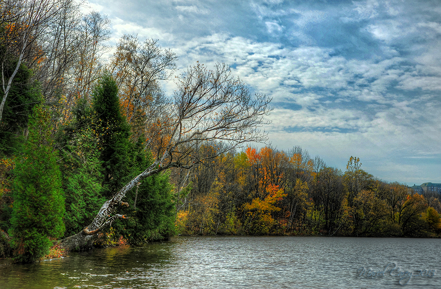 River by the train bridge.jpg
