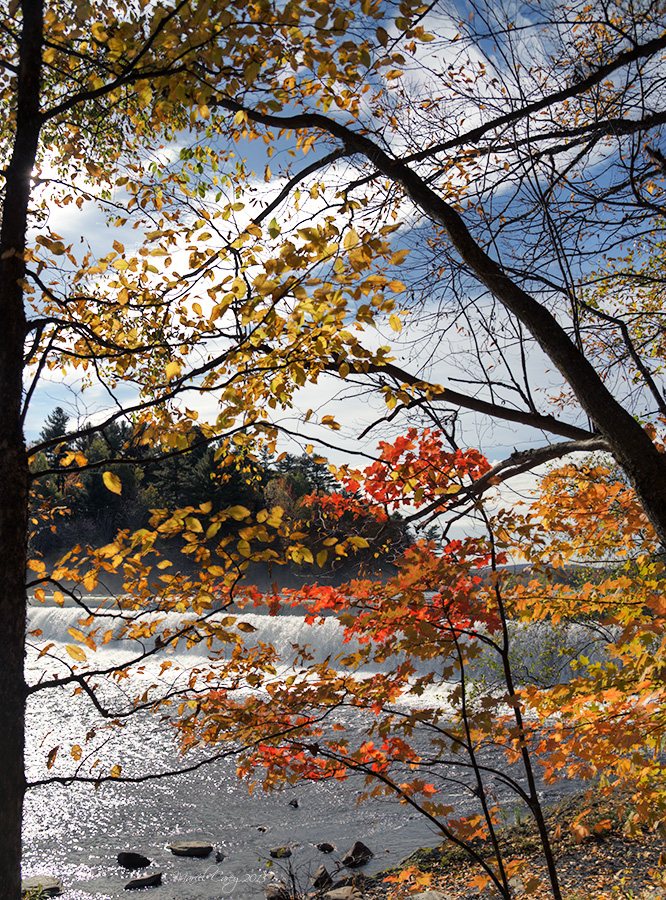 rivière et barrage.jpg