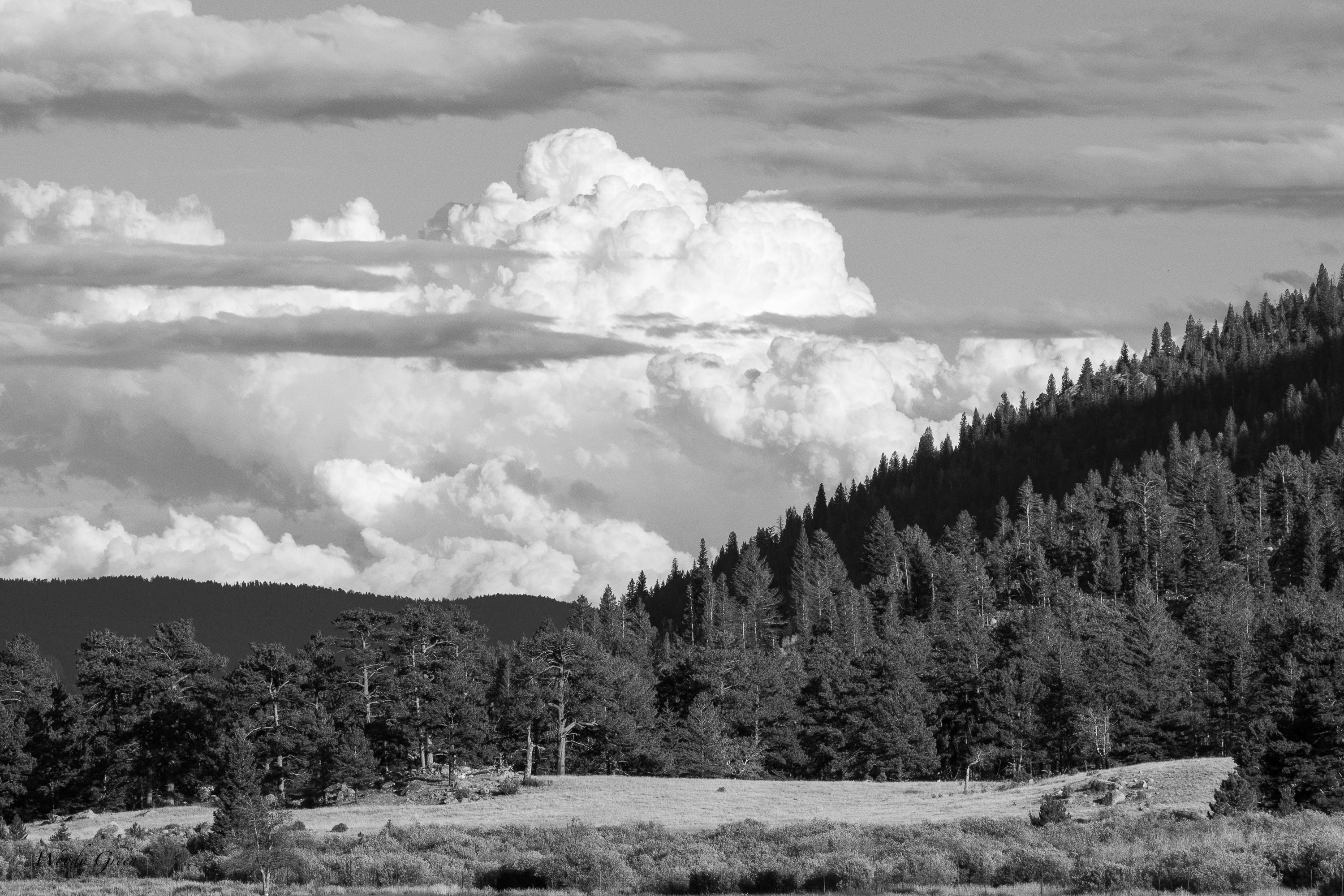 RMNPLandscape-754.jpg