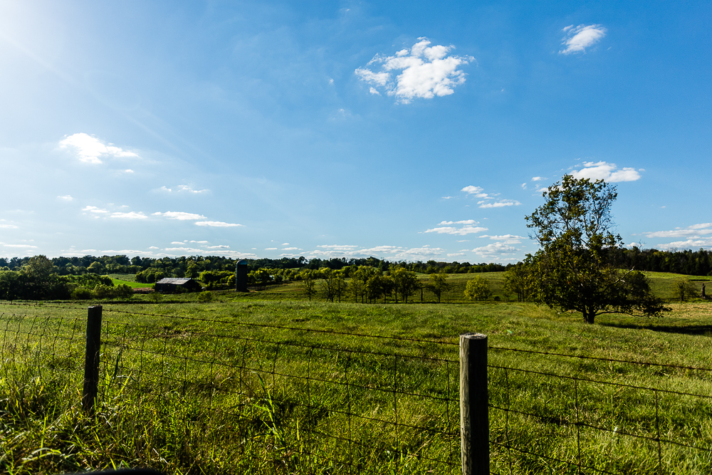 Road Trip--3974.jpg