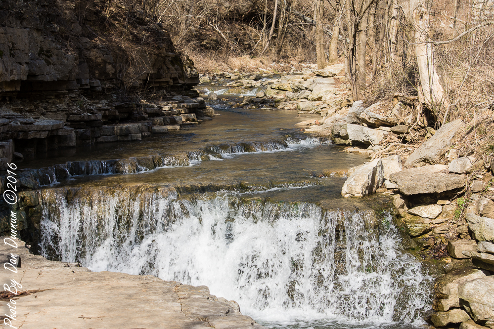 Road Trip To Cove Springs-2728.JPG