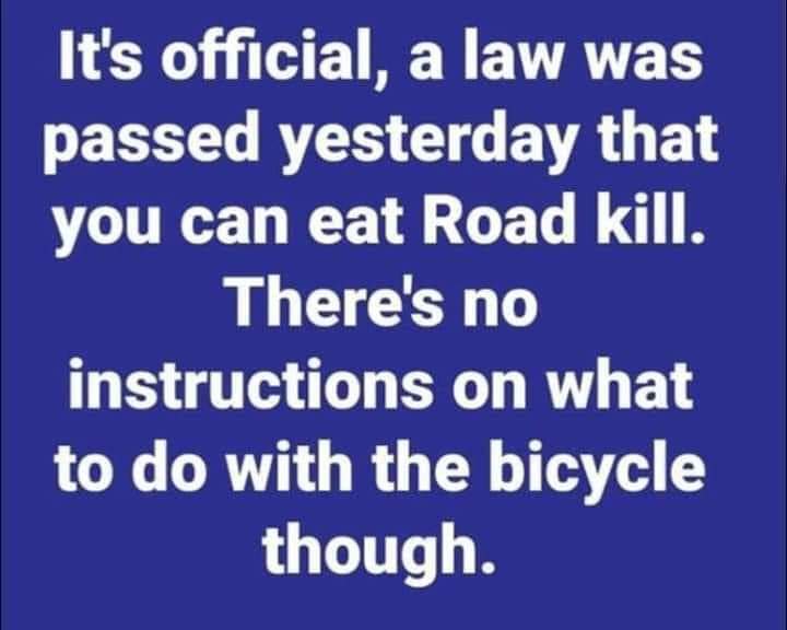 roadkill.jpeg
