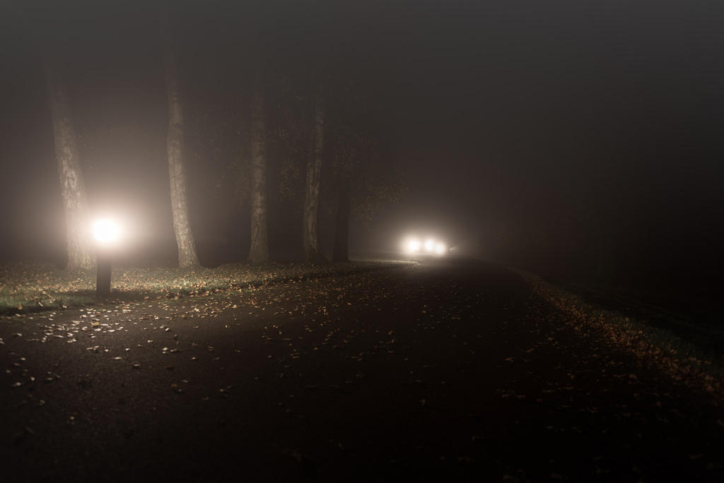 Roadside-2.jpg