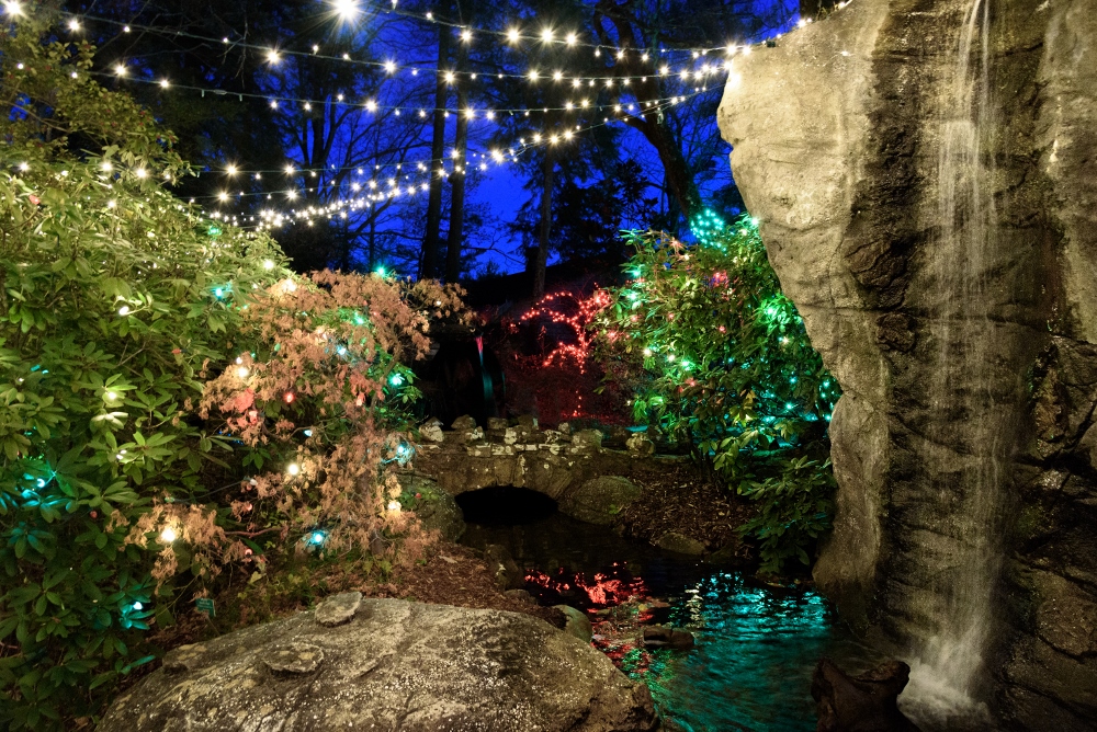 Rock City-6689 (1000x668).jpg