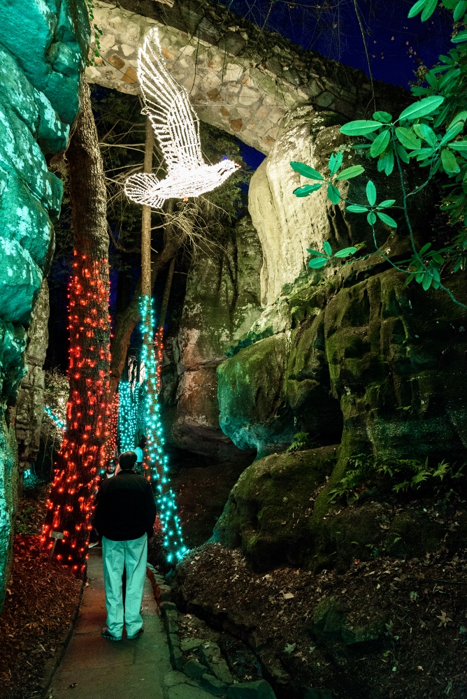 Rock City-6694 (668x1000).jpg