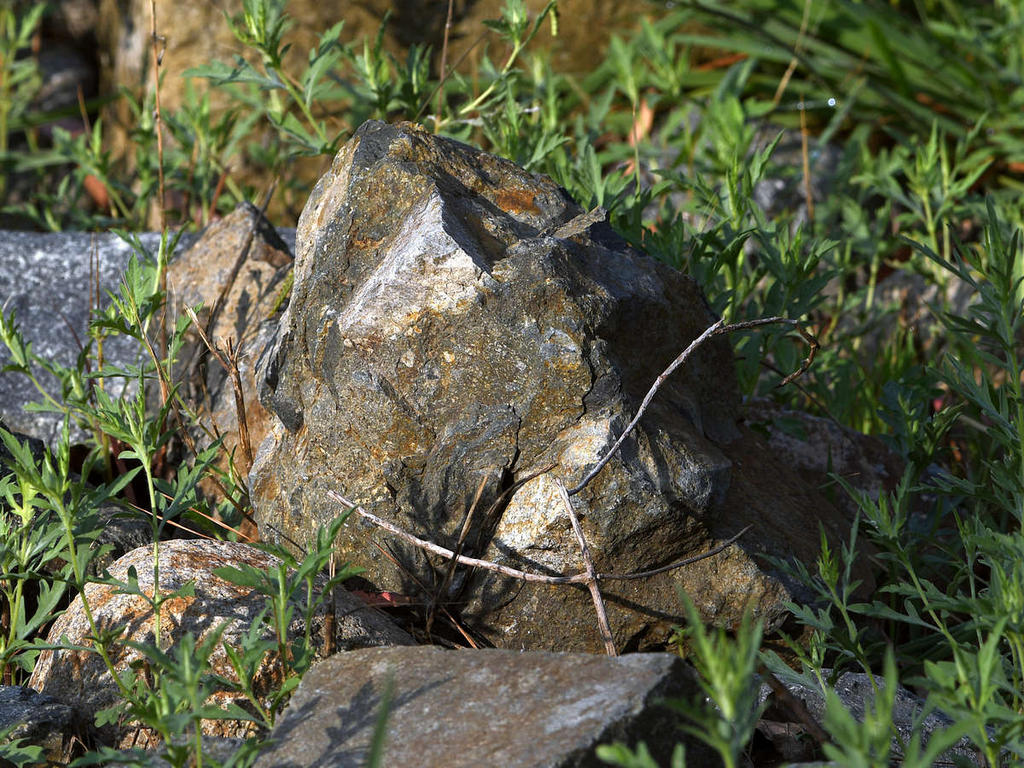 Rock.jpg