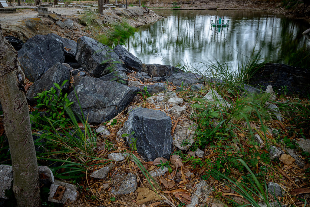 rock-pond-1.jpg