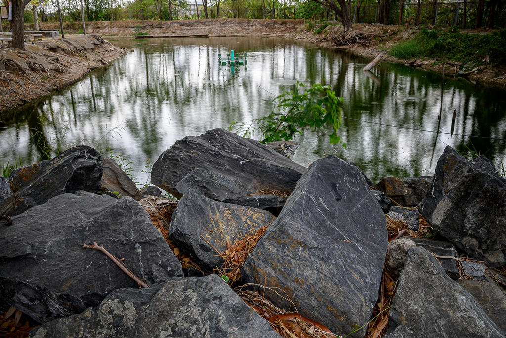 rock-pond-2.jpg