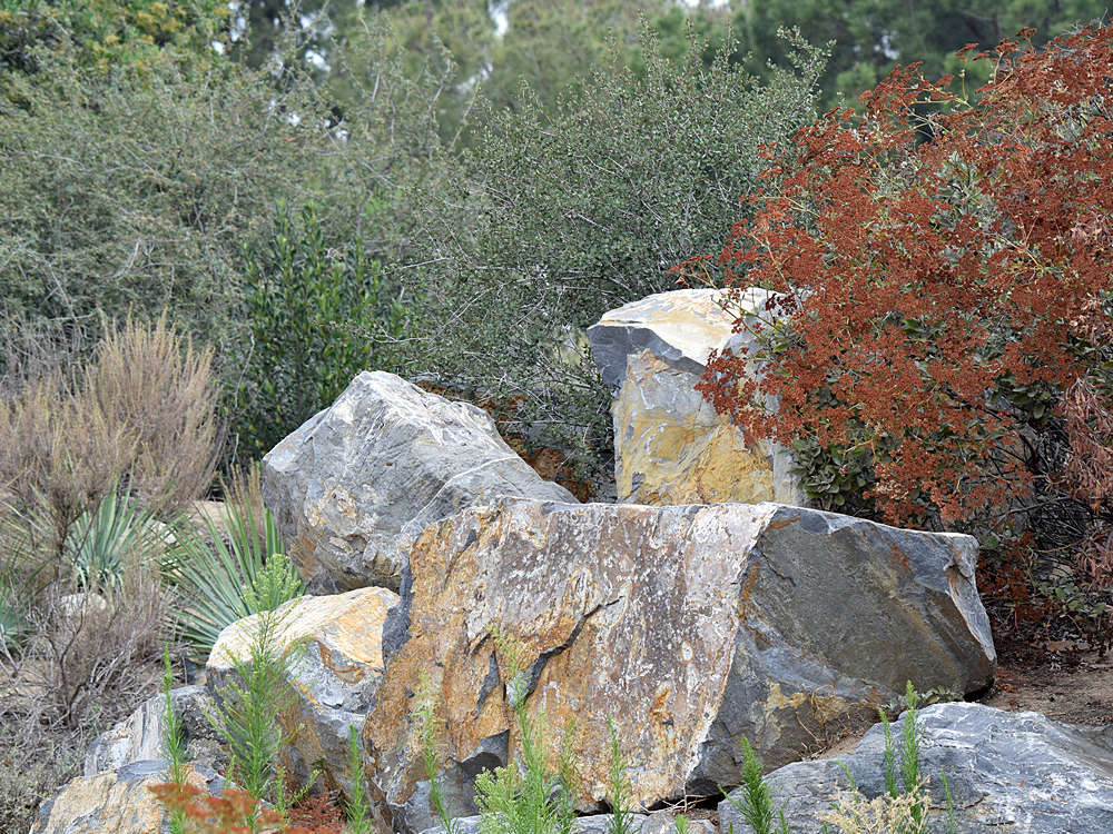 Rocks.jpg