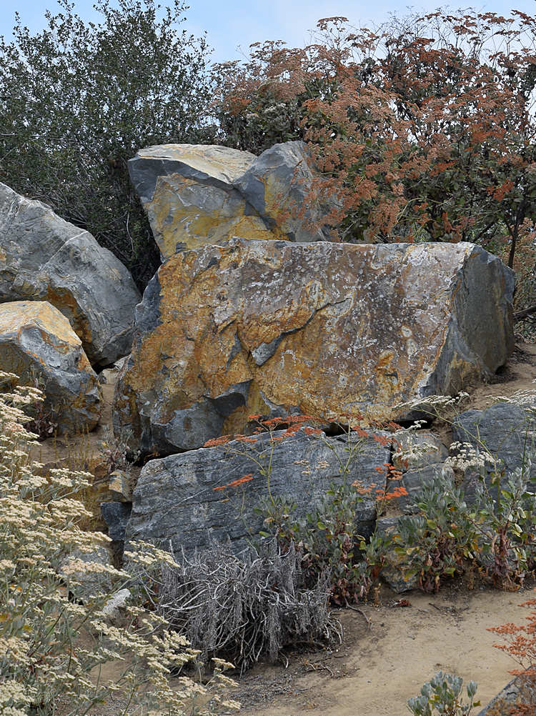 Rocks.jpg