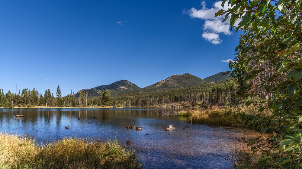 Rocky mountain national park-.jpg