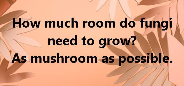 ROOM.PNG