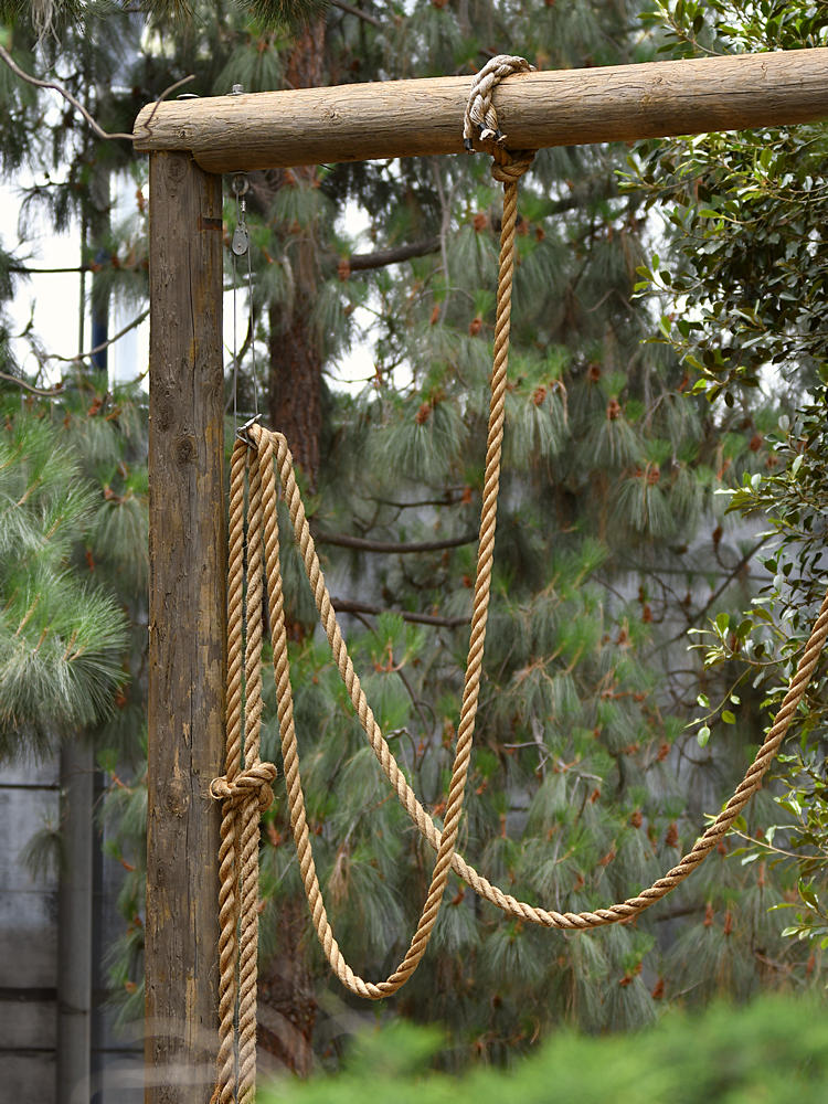 Rope.jpg