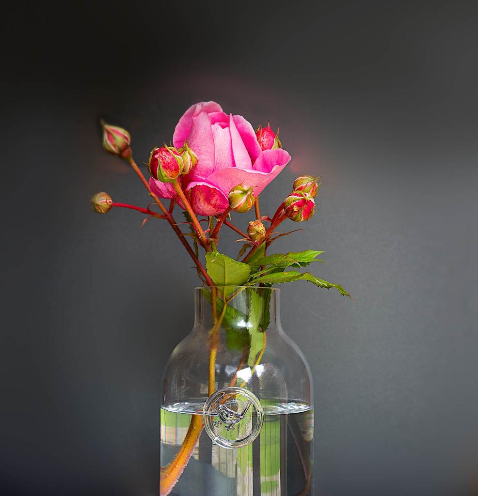 Rose-2.jpg
