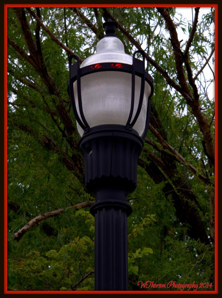 Rose Park Lamp Close Up.jpg