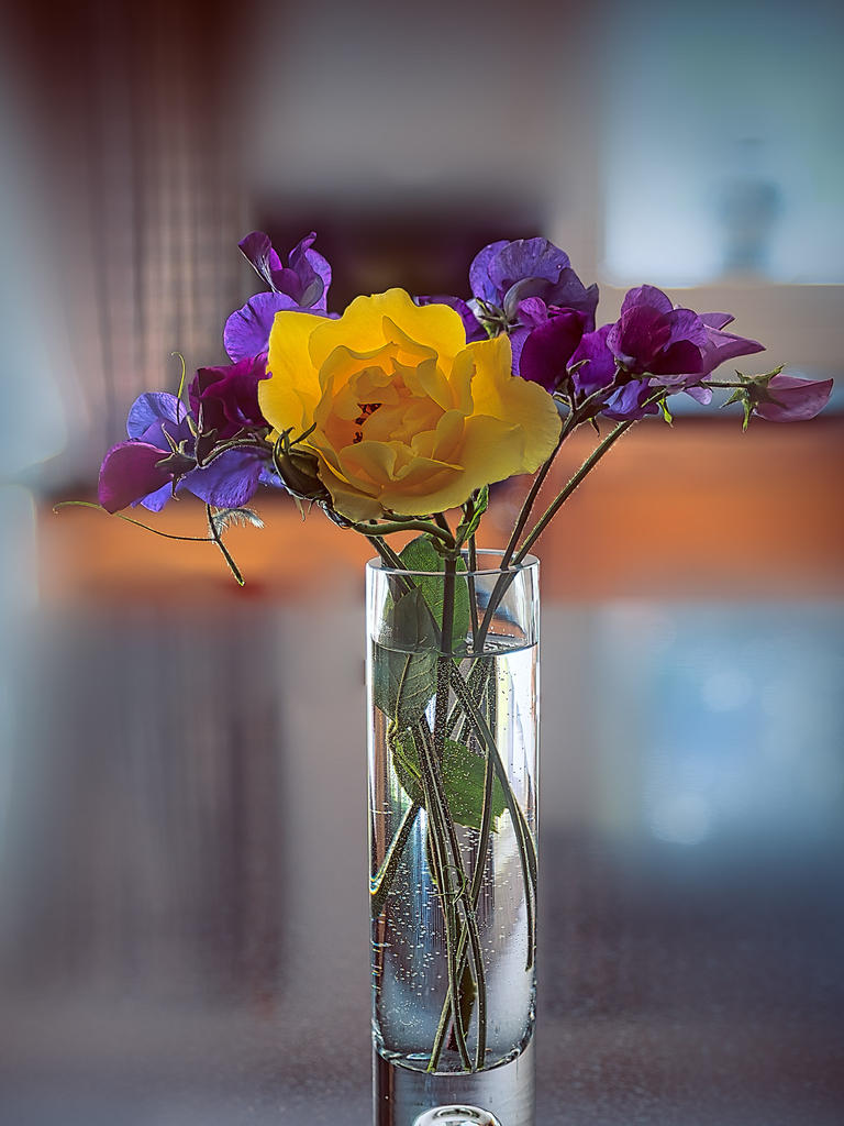 Rose-Sweet-P.jpg