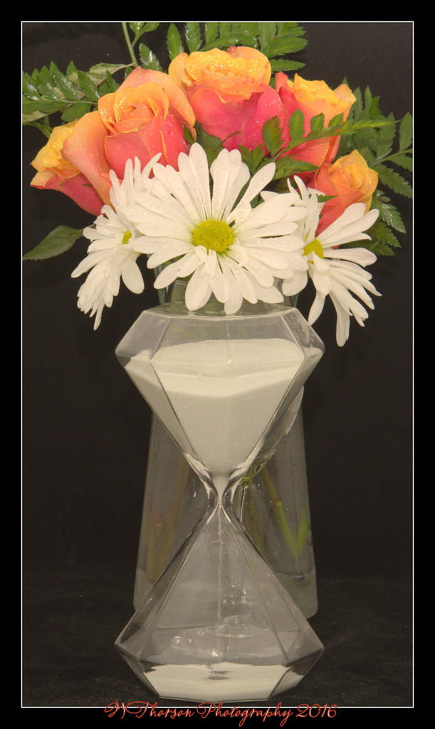 Roses, Dasies, and Sand Timer 5-19-2016.jpg