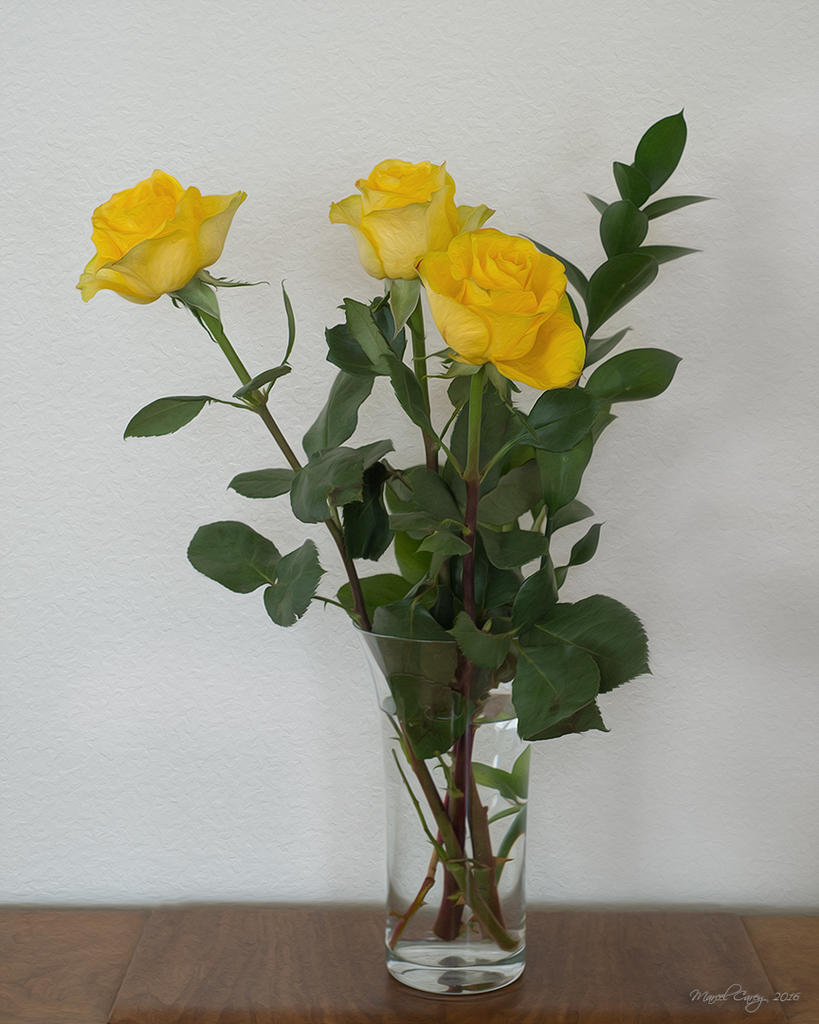 Roses jaunes.jpg