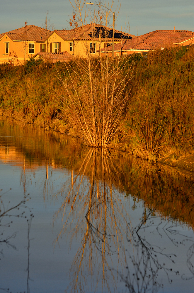 ROY_0216.JPG