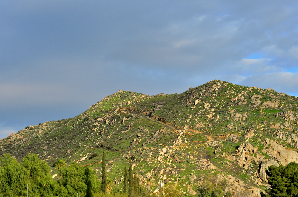 ROY_0390.JPG