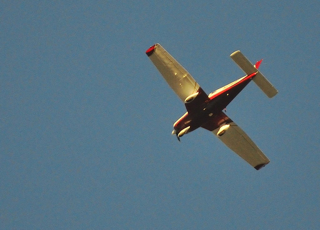 ROY_2240.jpg