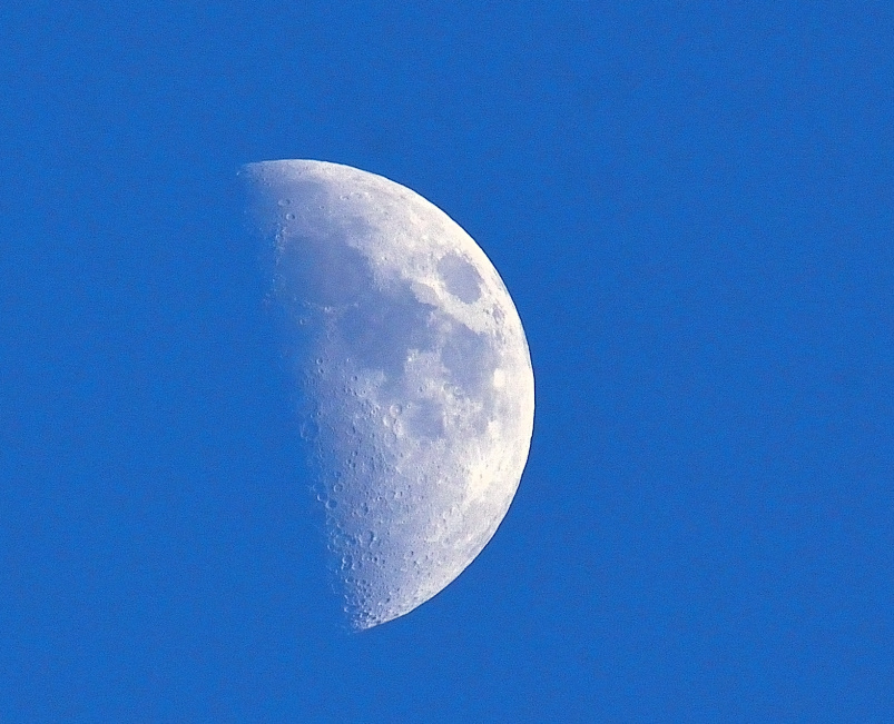 ROY_3425.JPG