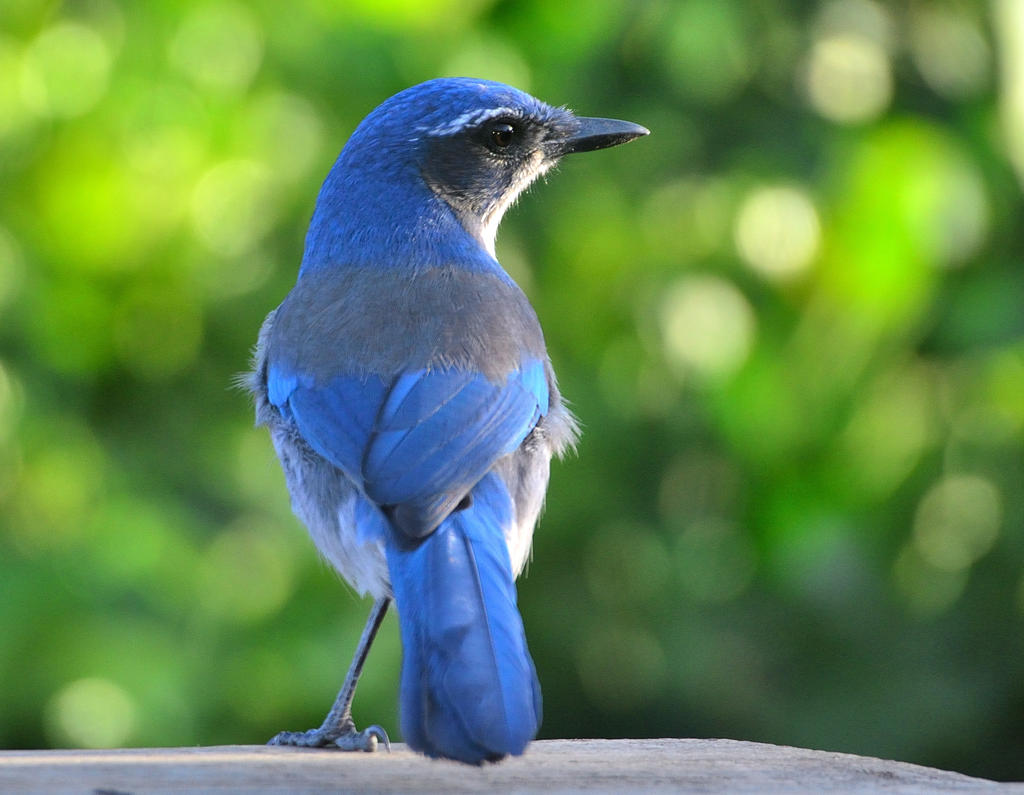 ROY_3881.jpg