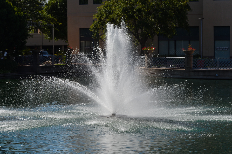 ROY_3920.JPG