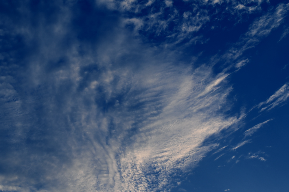 ROY_4234_01.JPG