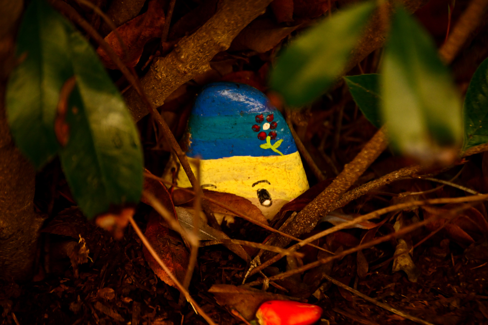 ROY_4360.JPG
