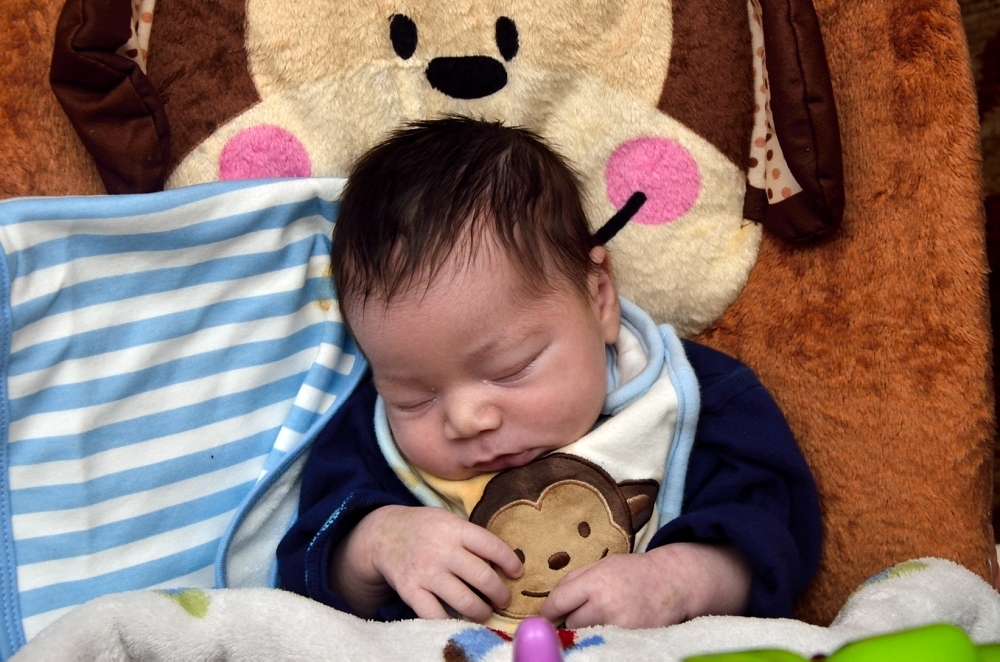 ROY_4578.JPG ROY_4578.JPG