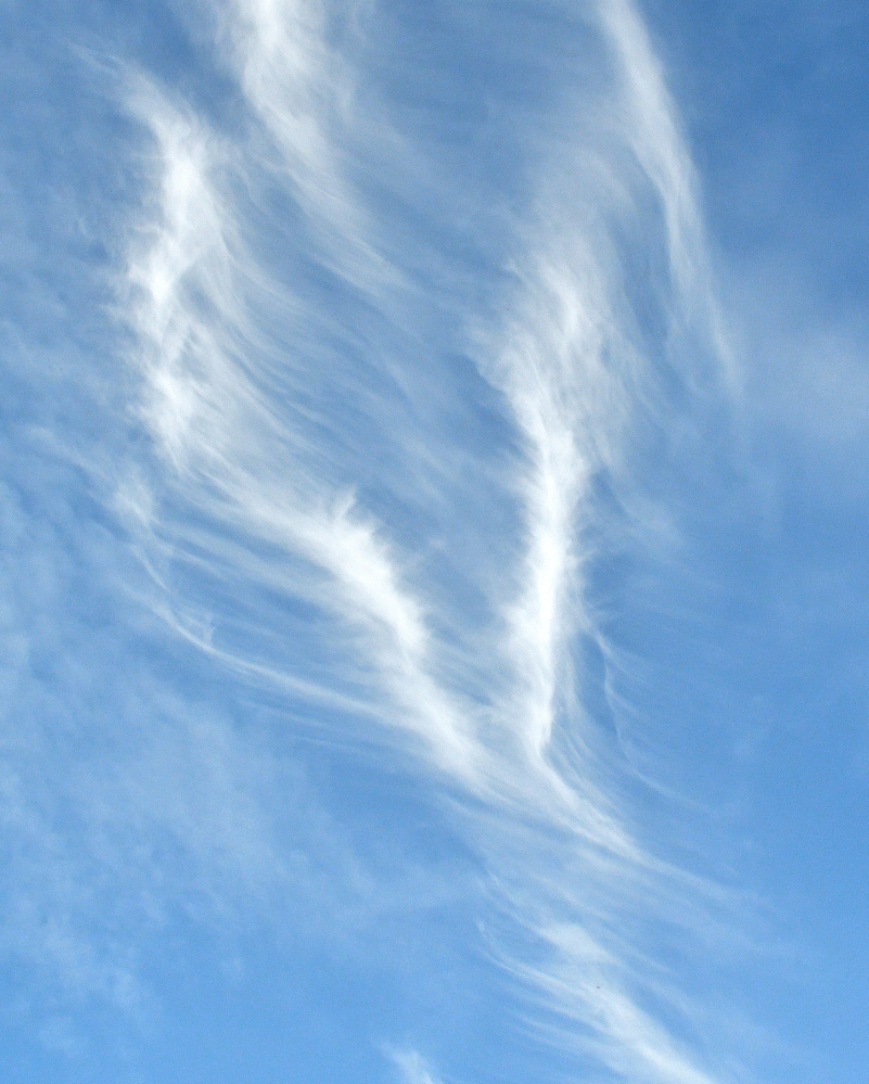 ROY_5408_01.JPG