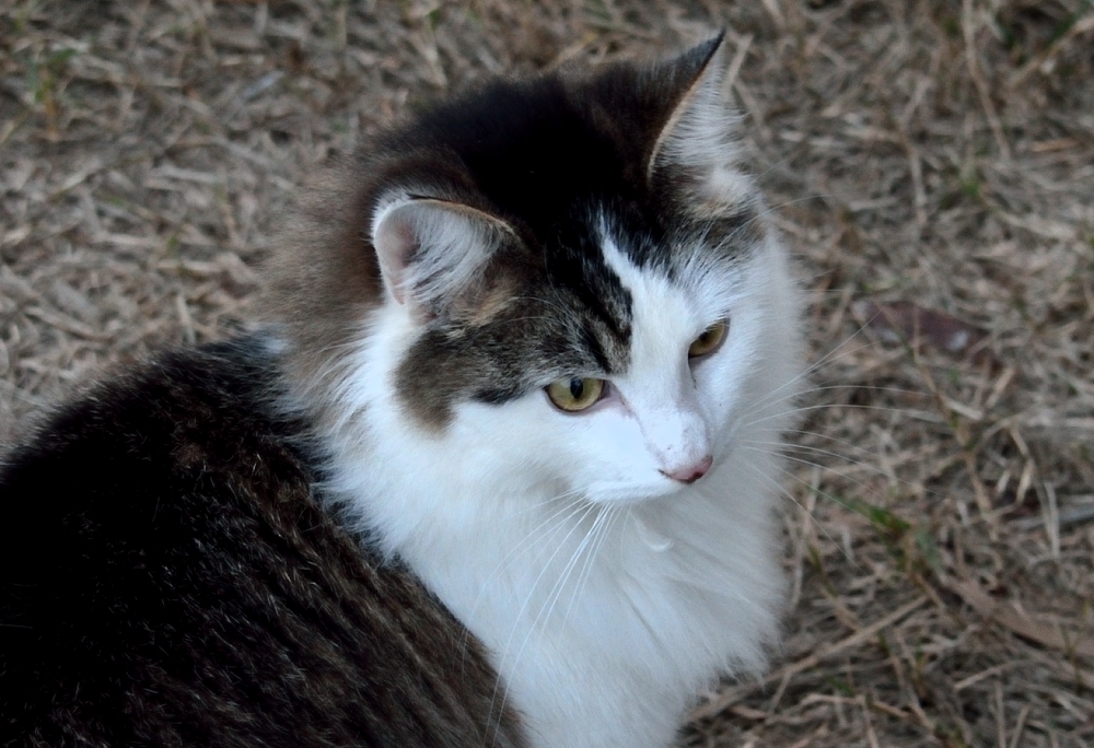ROY_5450.JPG