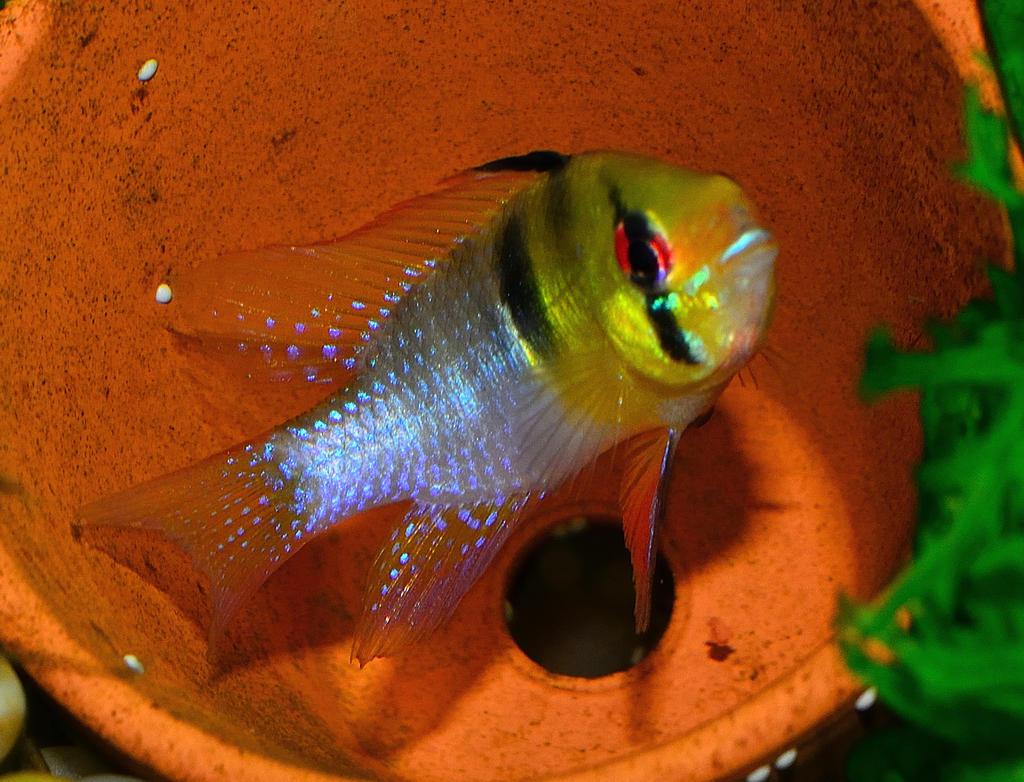 ROY_6095.jpg