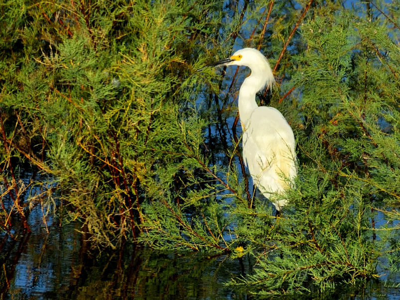 ROY_6154.JPG
