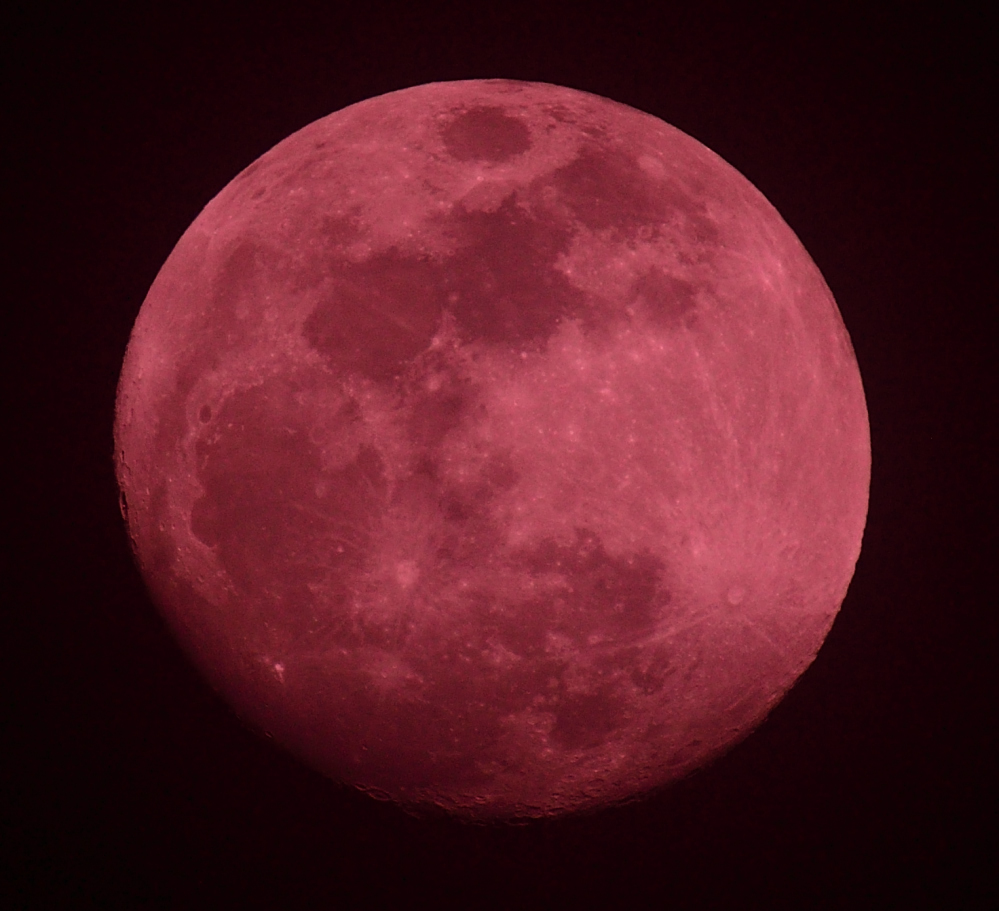 ROY_6177_04.JPG