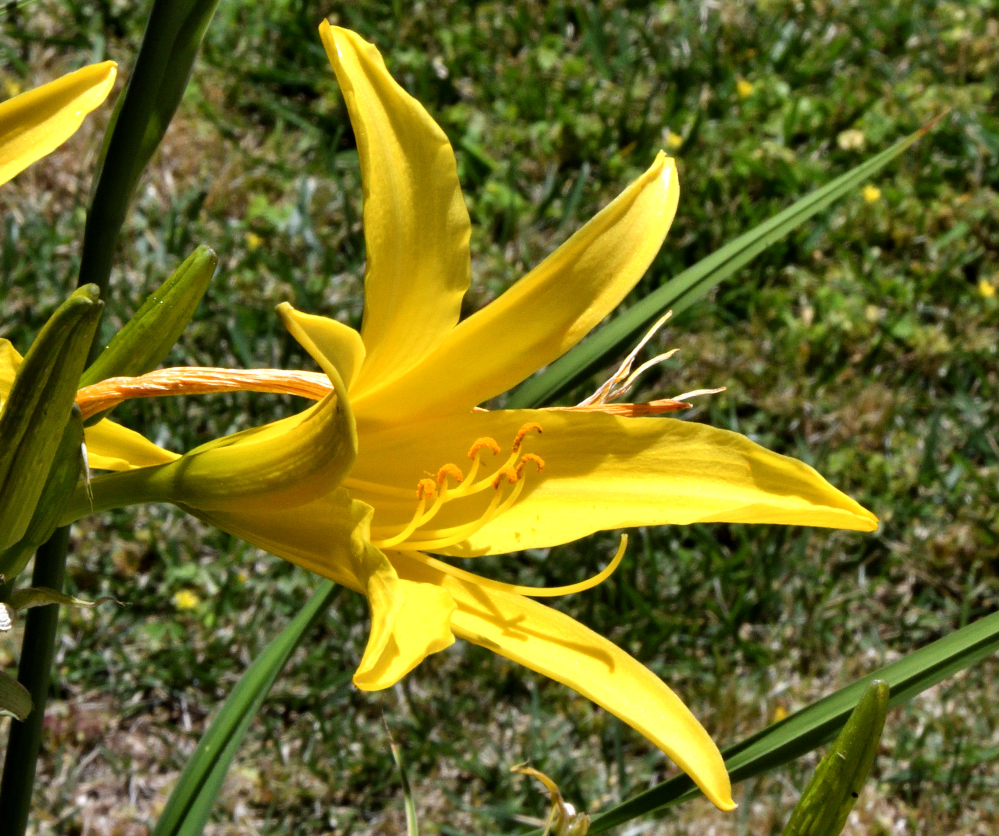 ROY_6453.JPG