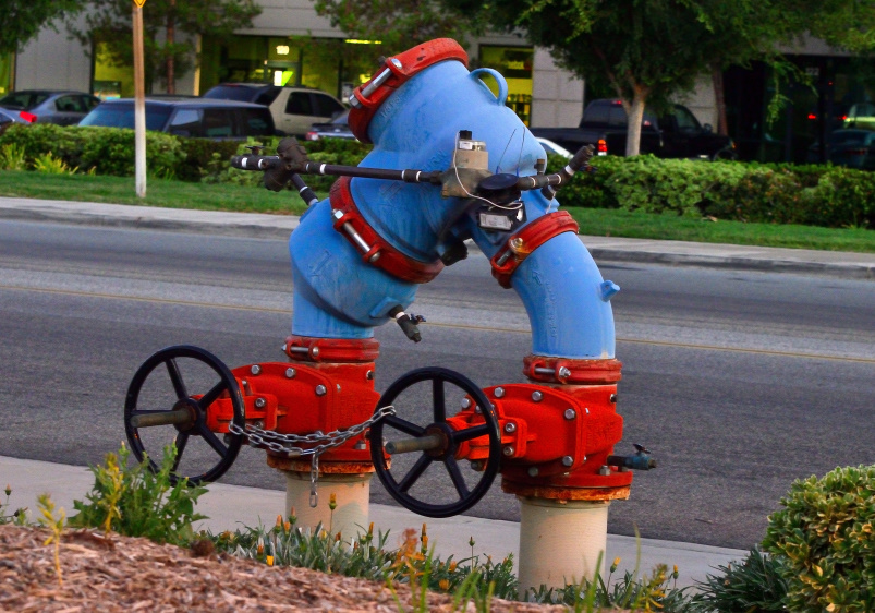 ROY_6490.JPG