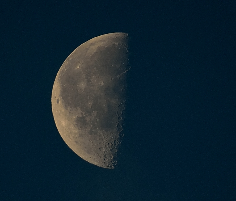 ROY_6851_01.JPG