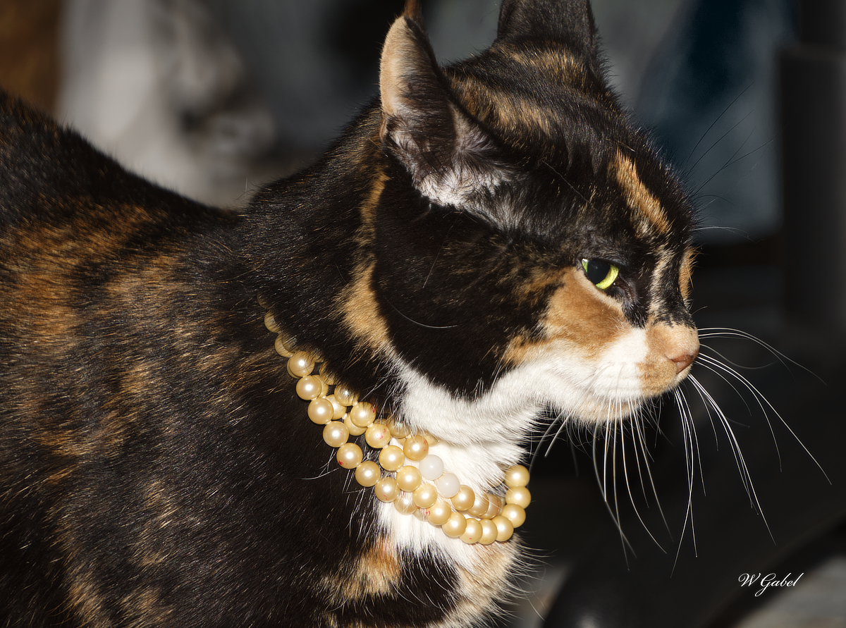 Ruby with pearls sm.jpg