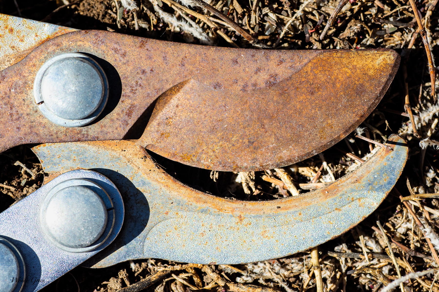 rustsmall-281-jpg.402390