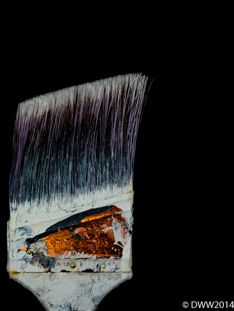 Rusty Brush (1 of 1).jpg