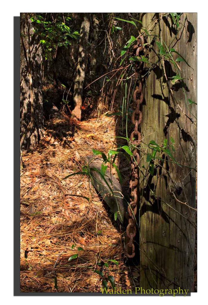 Rusty Chain.jpg