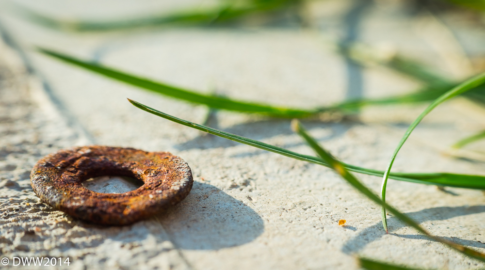 Rusty Washer (1 of 1).jpg