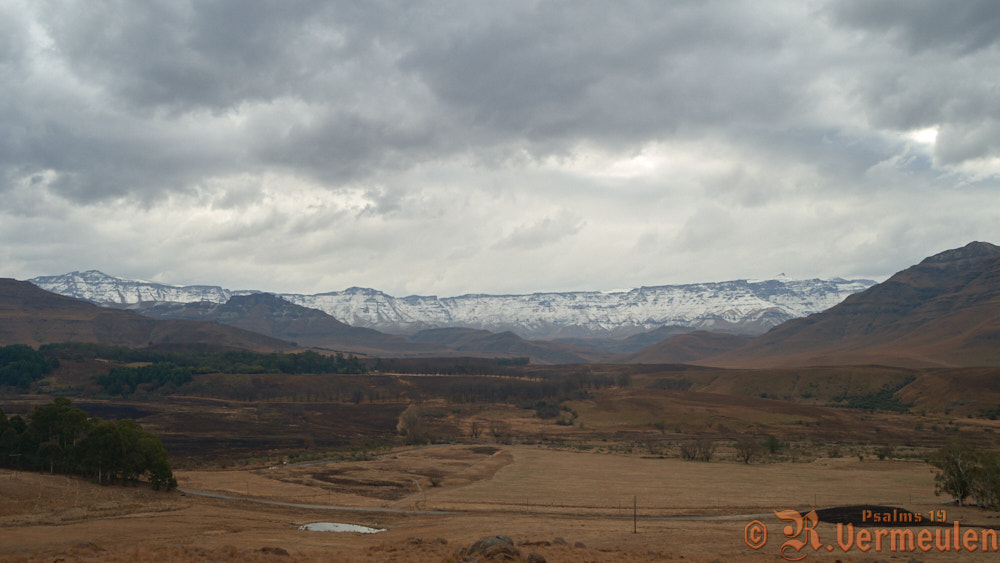 RV_D500_RO_0_DSC_4676_Variant1.jpg