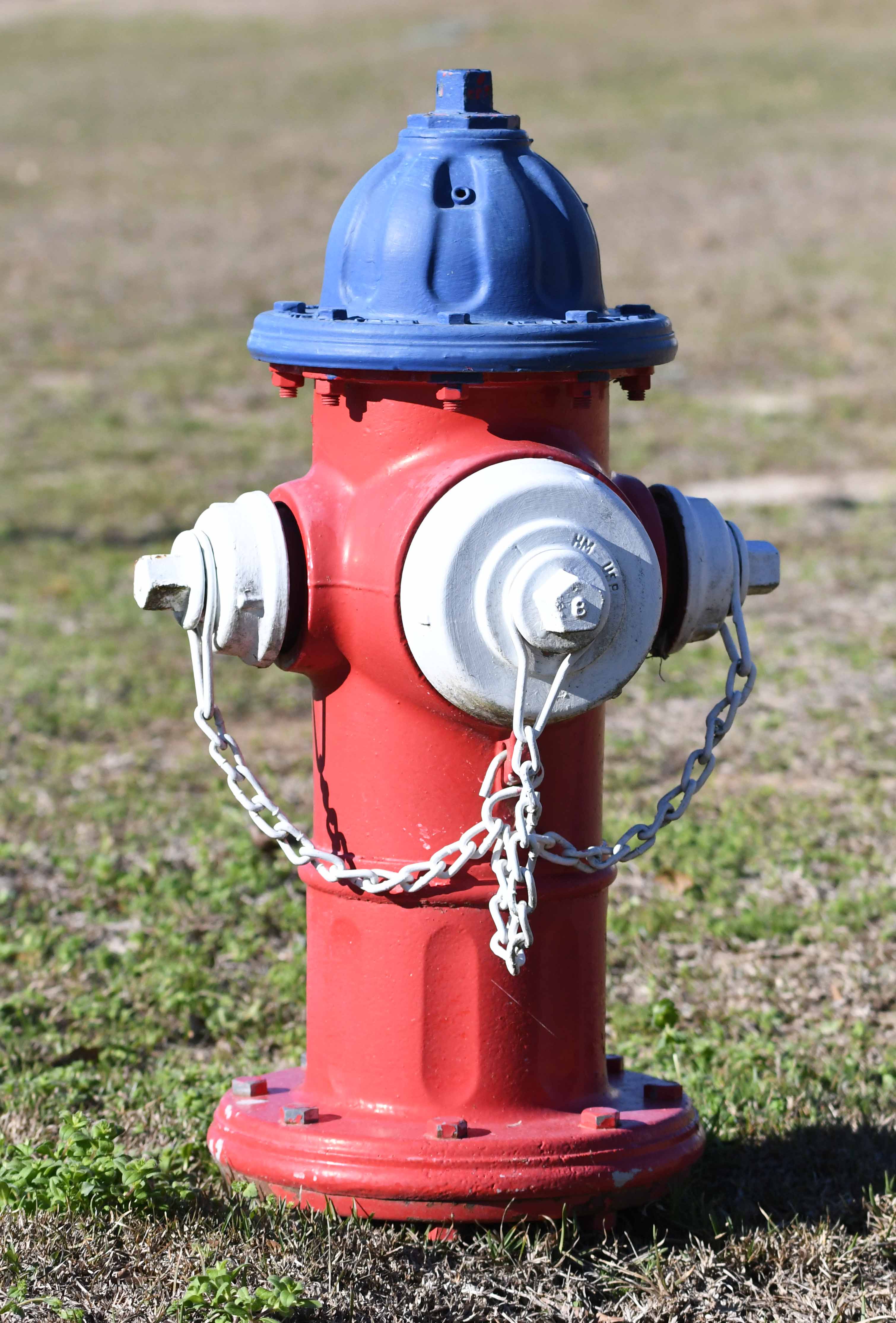 rwb fire hydrant 2 revised 2.jpg