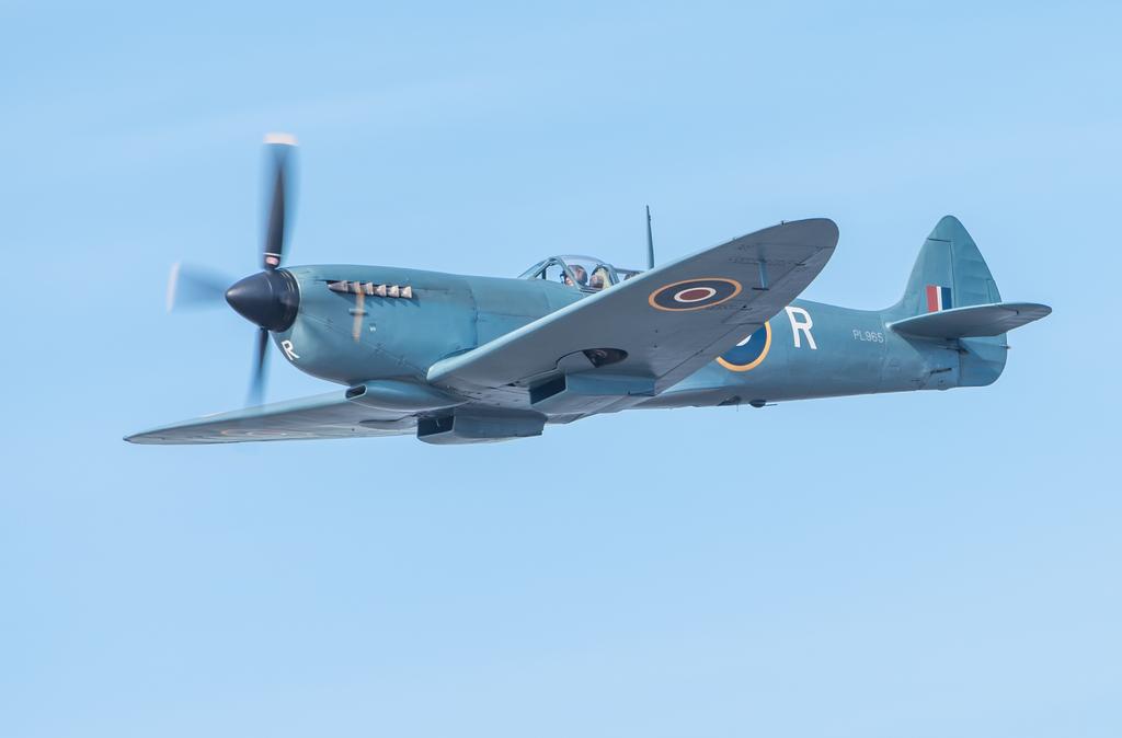 s11.jpg