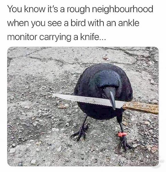 s9yw76t.jpg